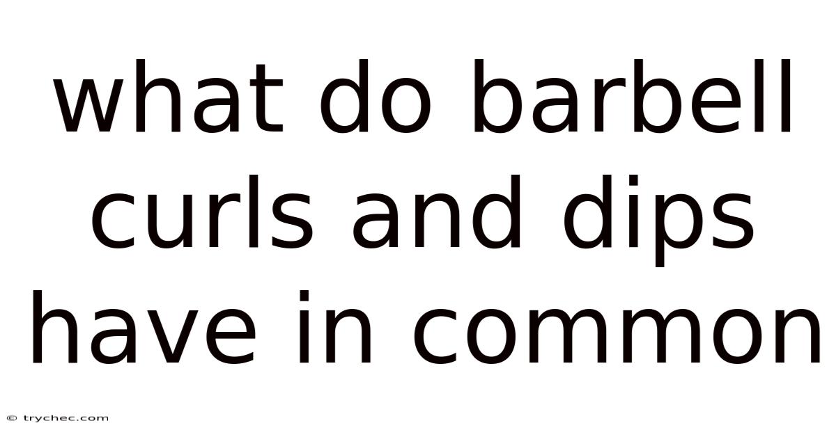 What Do Barbell Curls And Dips Have In Common