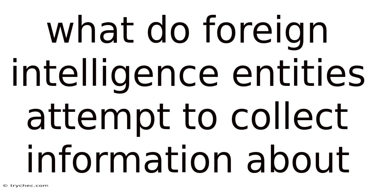 What Do Foreign Intelligence Entities Attempt To Collect Information About