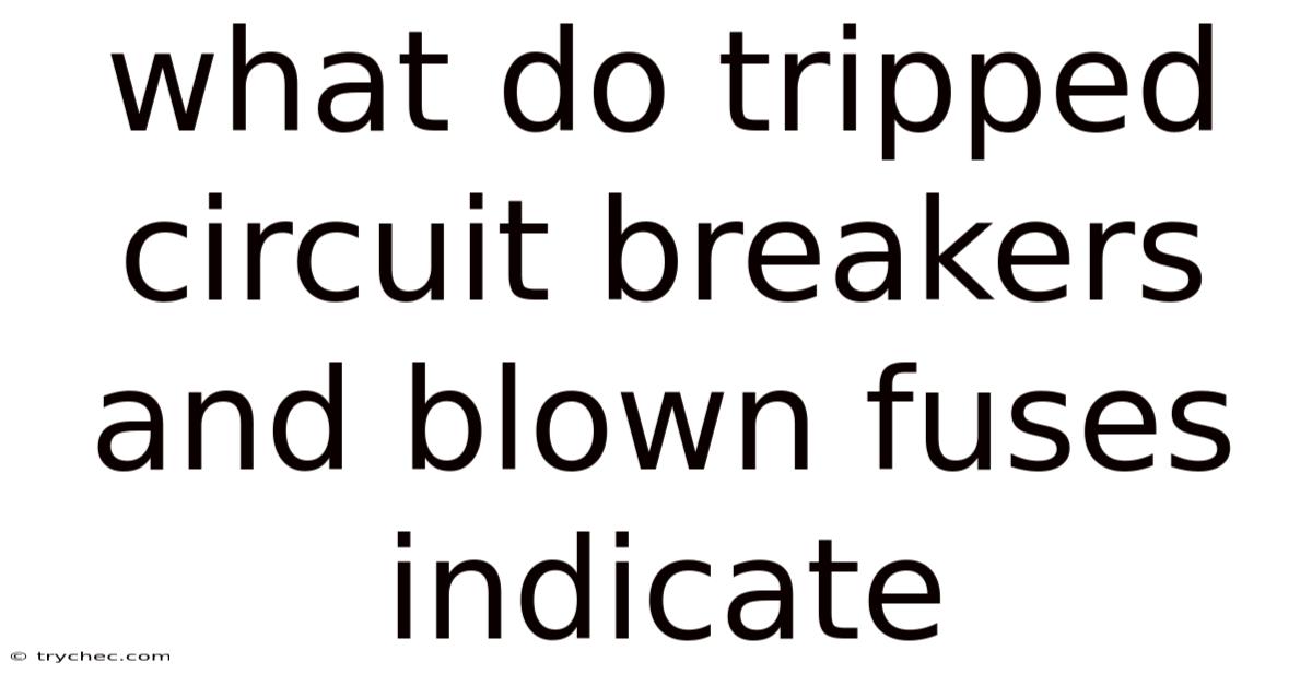 What Do Tripped Circuit Breakers And Blown Fuses Indicate