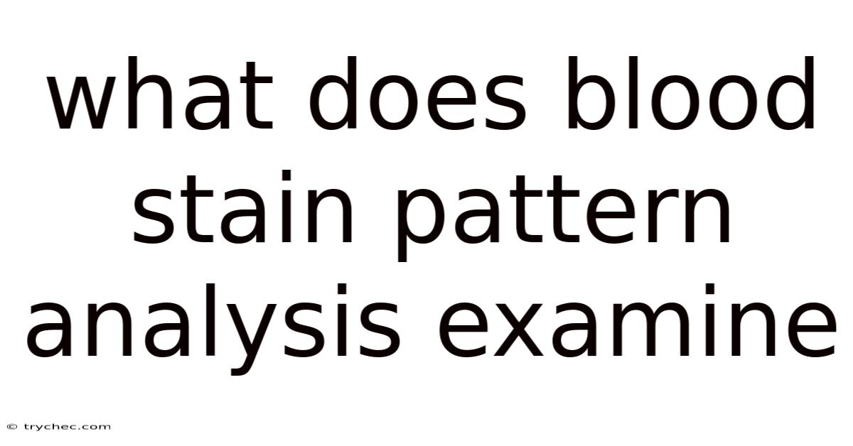 What Does Blood Stain Pattern Analysis Examine