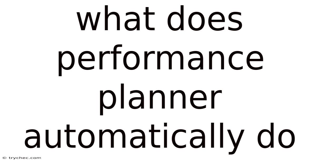 What Does Performance Planner Automatically Do