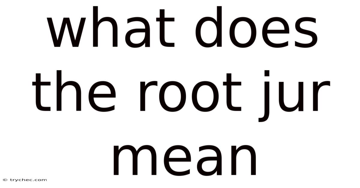 What Does The Root Jur Mean