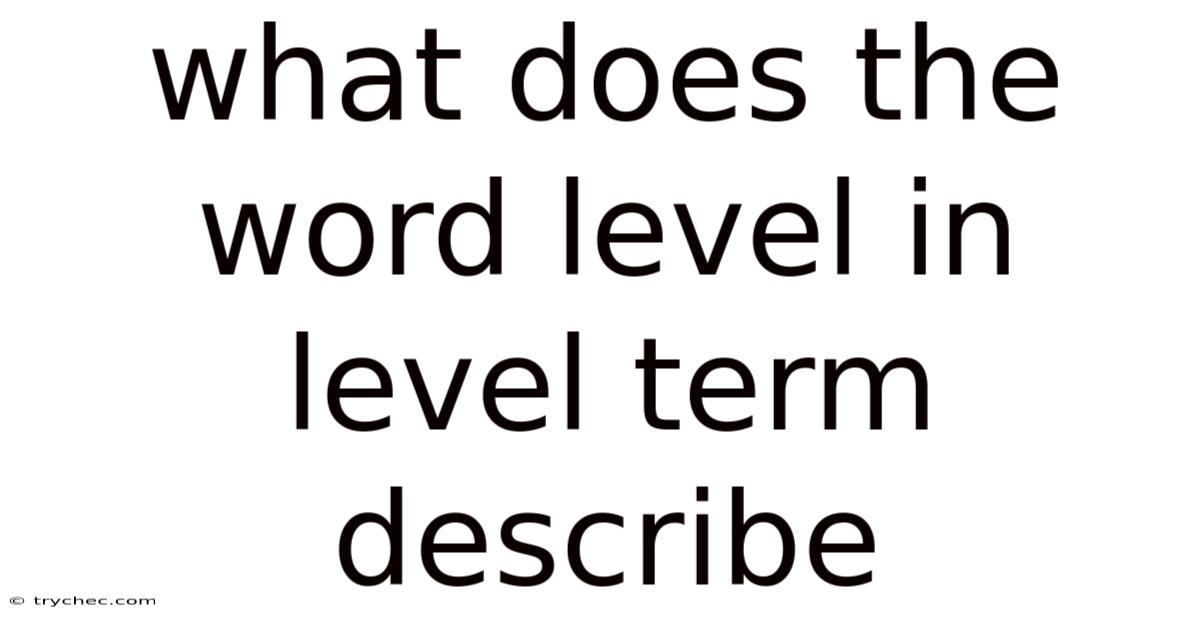 What Does The Word Level In Level Term Describe