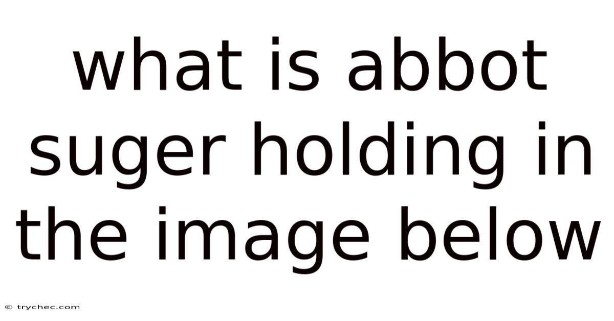 What Is Abbot Suger Holding In The Image Below