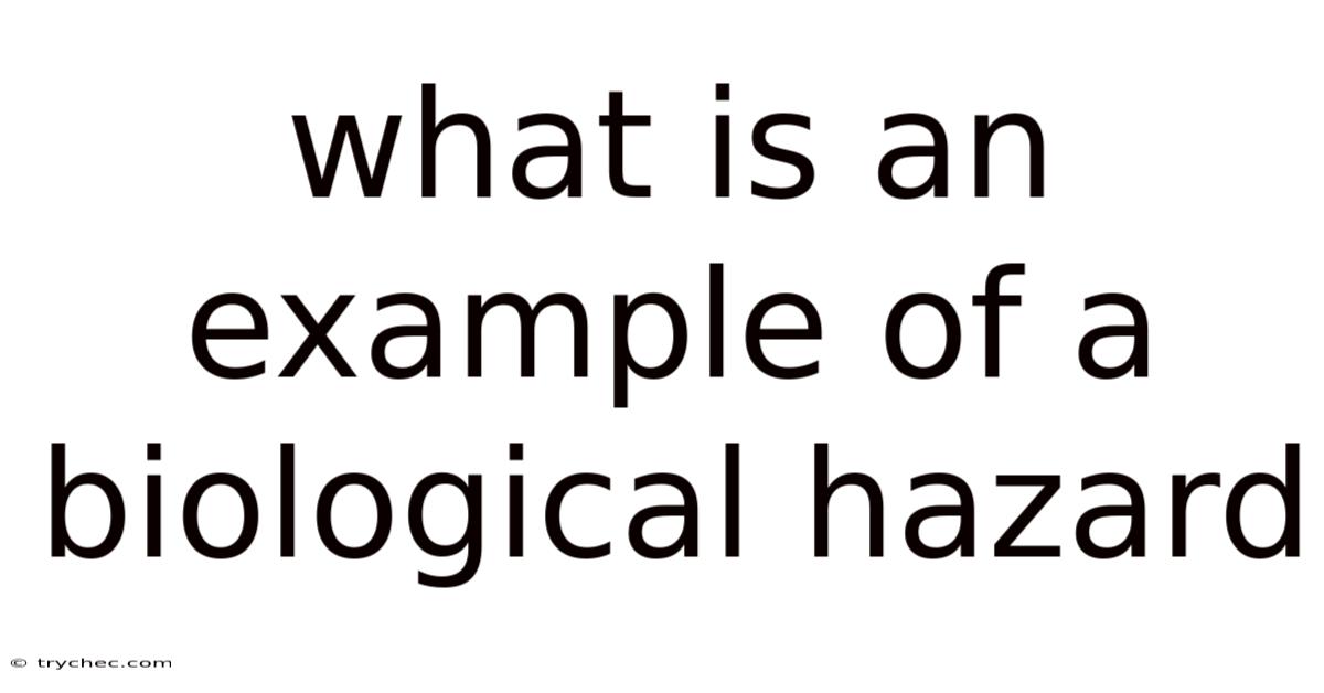 What Is An Example Of A Biological Hazard