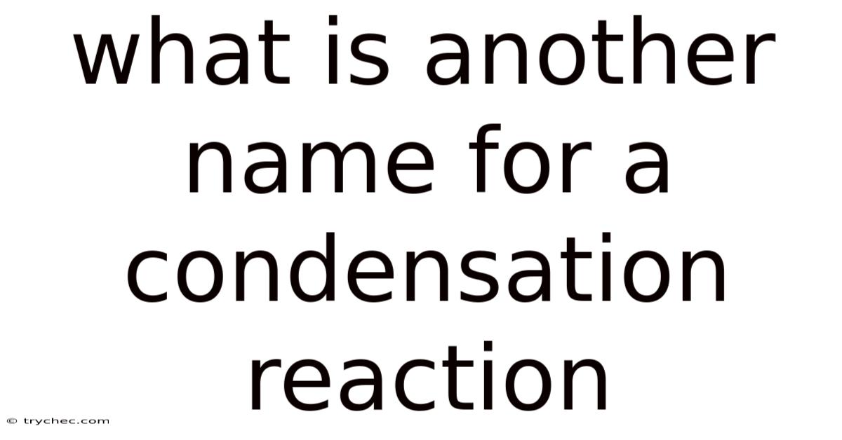 What Is Another Name For A Condensation Reaction