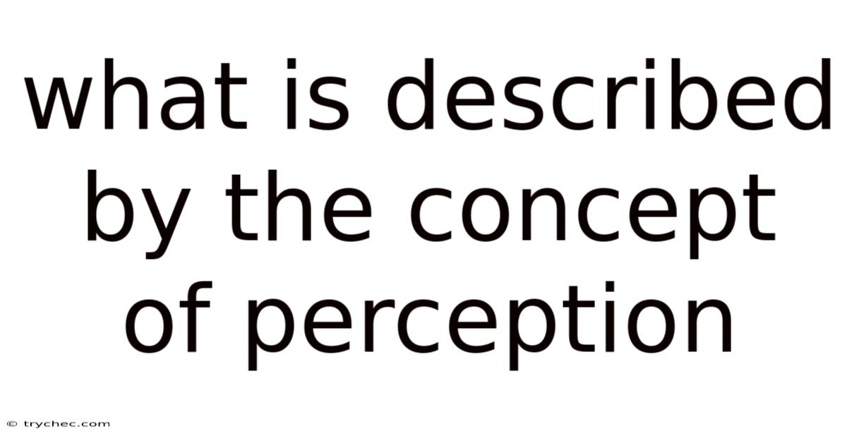 What Is Described By The Concept Of Perception
