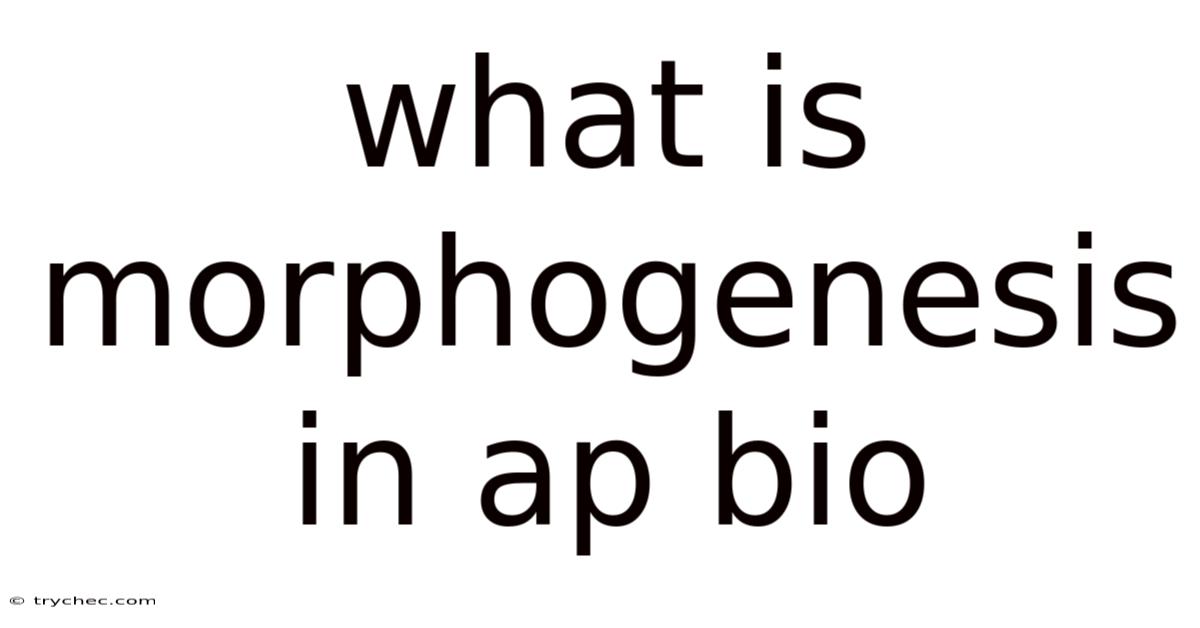 What Is Morphogenesis In Ap Bio