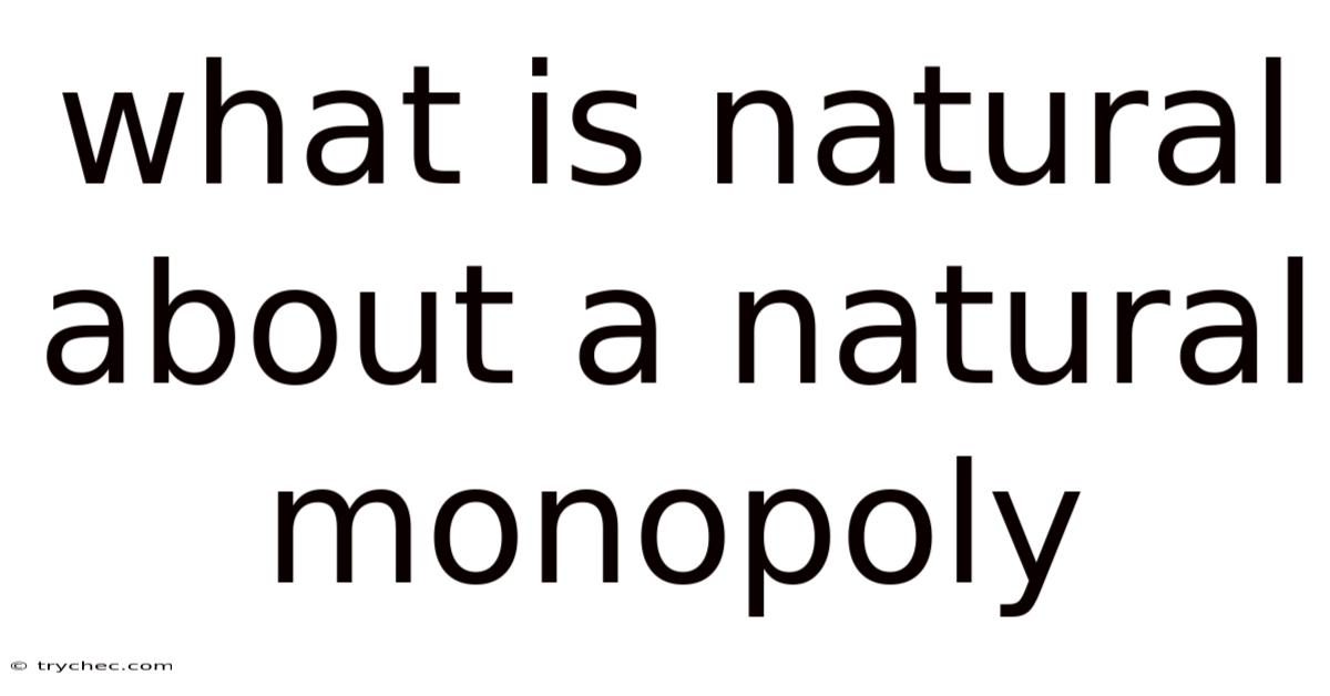 What Is Natural About A Natural Monopoly