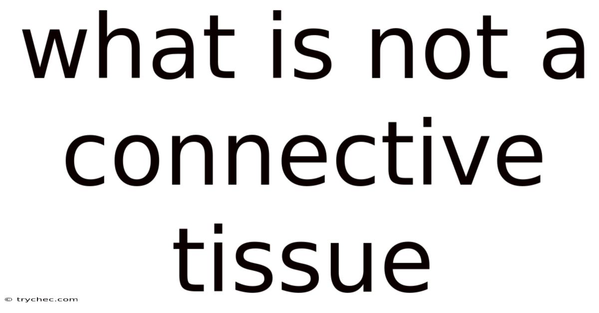 What Is Not A Connective Tissue
