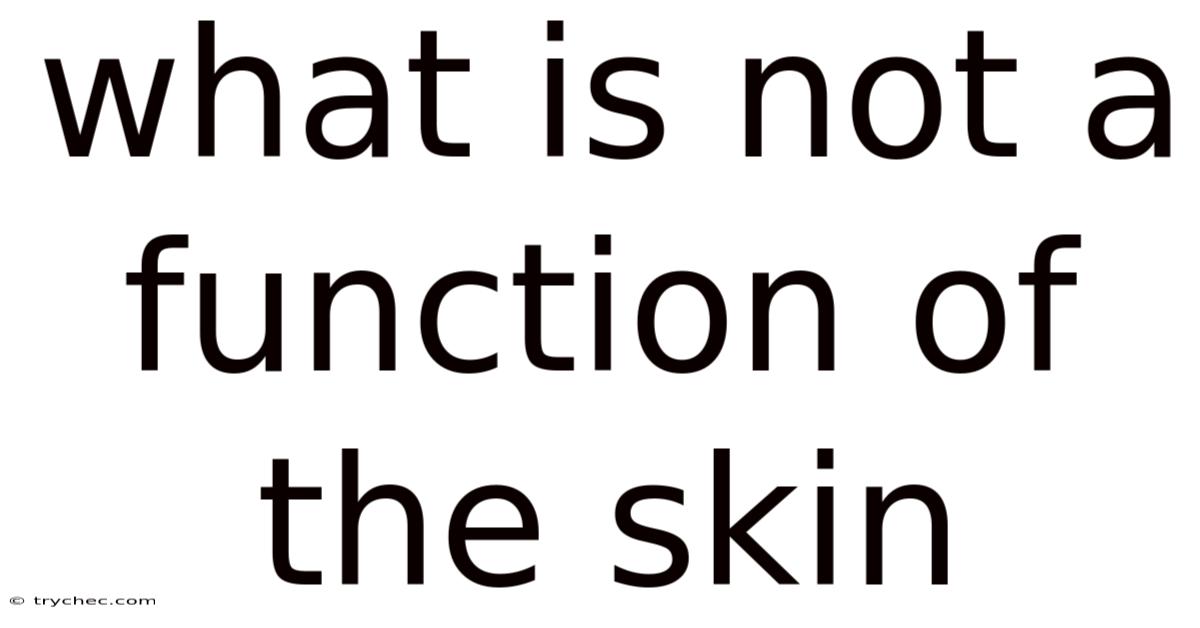 What Is Not A Function Of The Skin