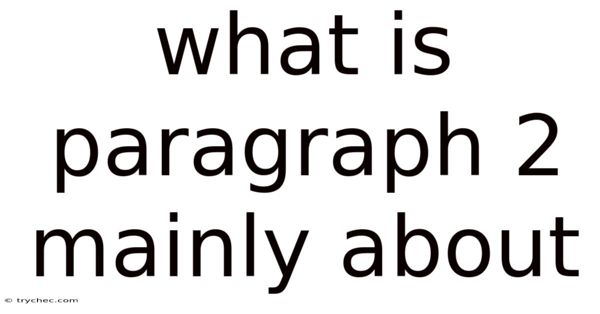 What Is Paragraph 2 Mainly About