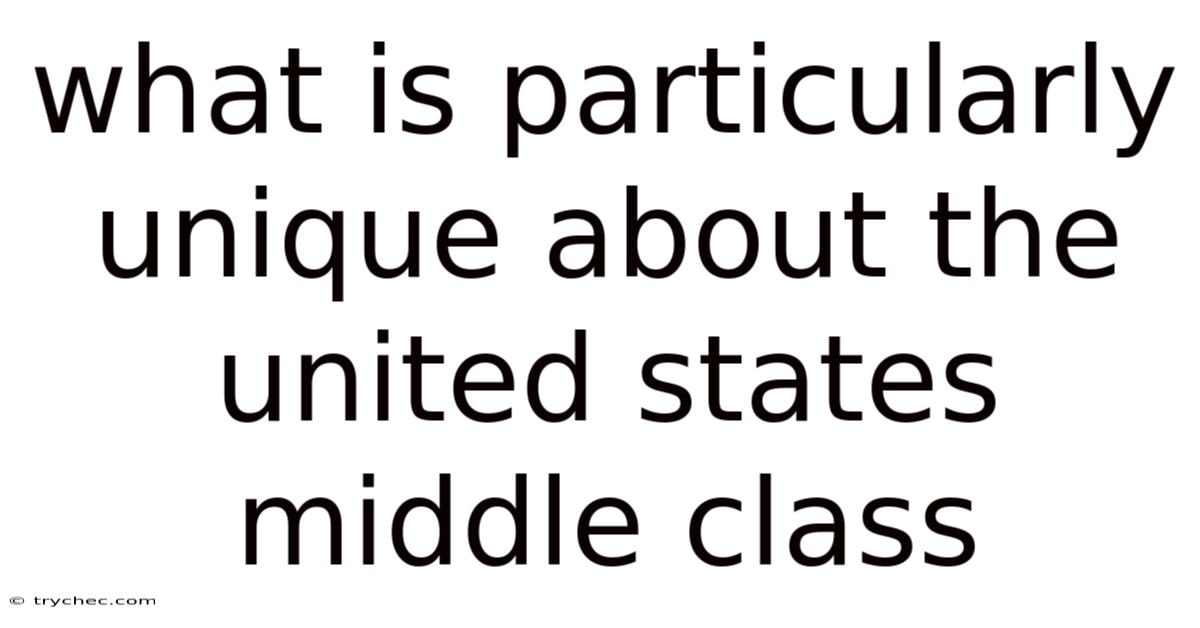 What Is Particularly Unique About The United States Middle Class