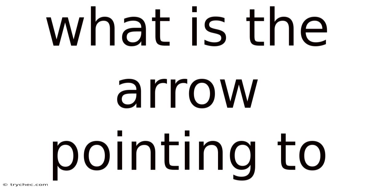 What Is The Arrow Pointing To