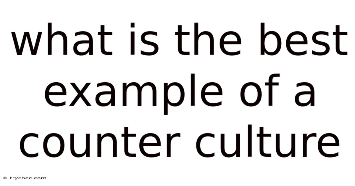 What Is The Best Example Of A Counter Culture