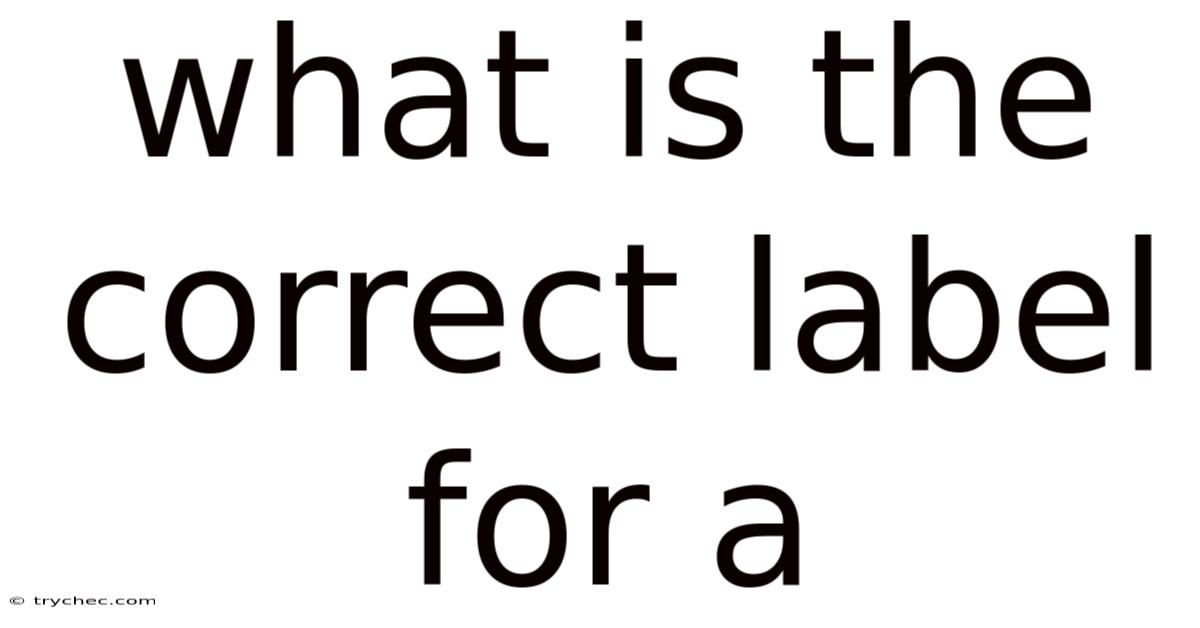 What Is The Correct Label For A