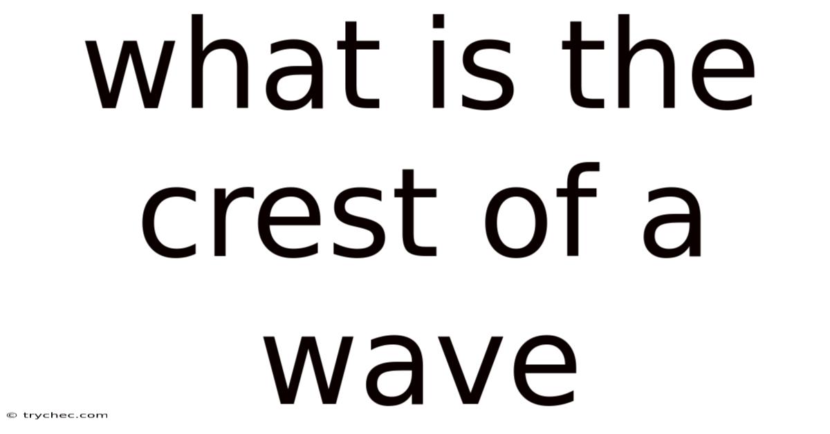 What Is The Crest Of A Wave