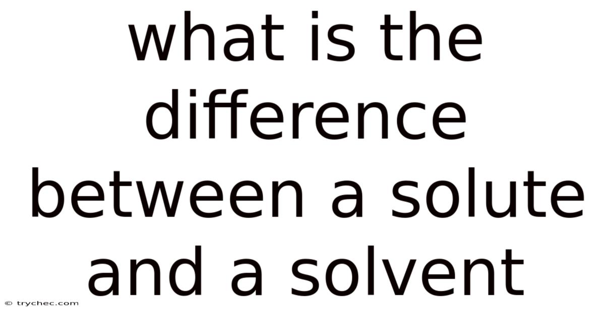 What Is The Difference Between A Solute And A Solvent