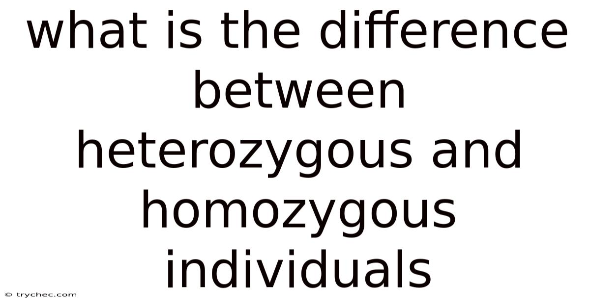 What Is The Difference Between Heterozygous And Homozygous Individuals