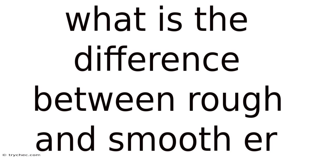 What Is The Difference Between Rough And Smooth Er