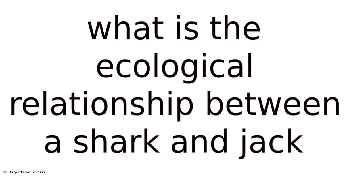 What Is The Ecological Relationship Between A Shark And Jack