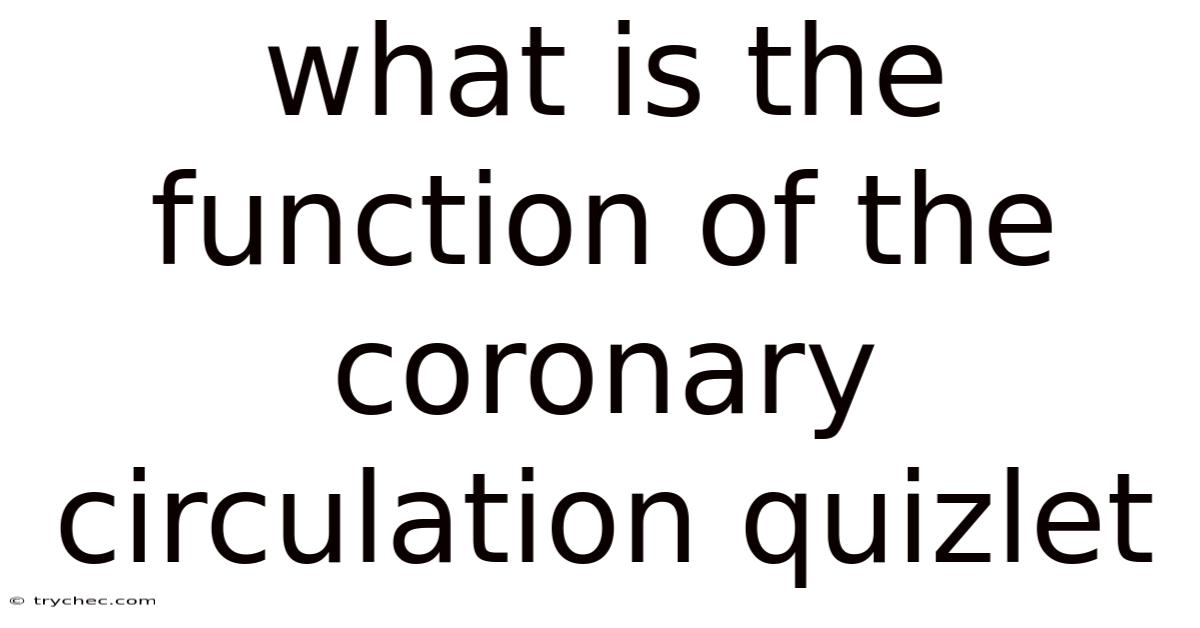 What Is The Function Of The Coronary Circulation Quizlet