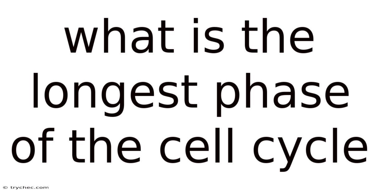 What Is The Longest Phase Of The Cell Cycle