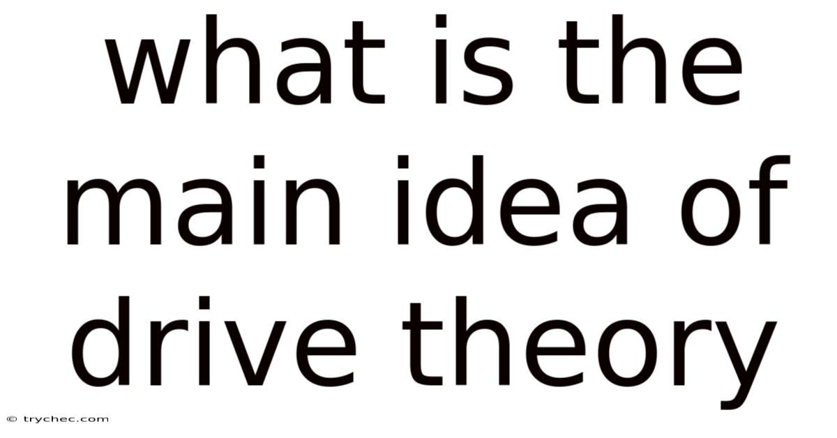 What Is The Main Idea Of Drive Theory