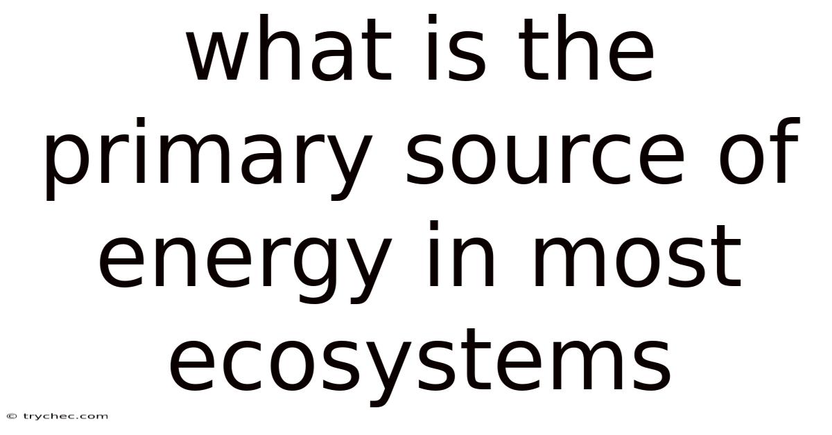 What Is The Primary Source Of Energy In Most Ecosystems