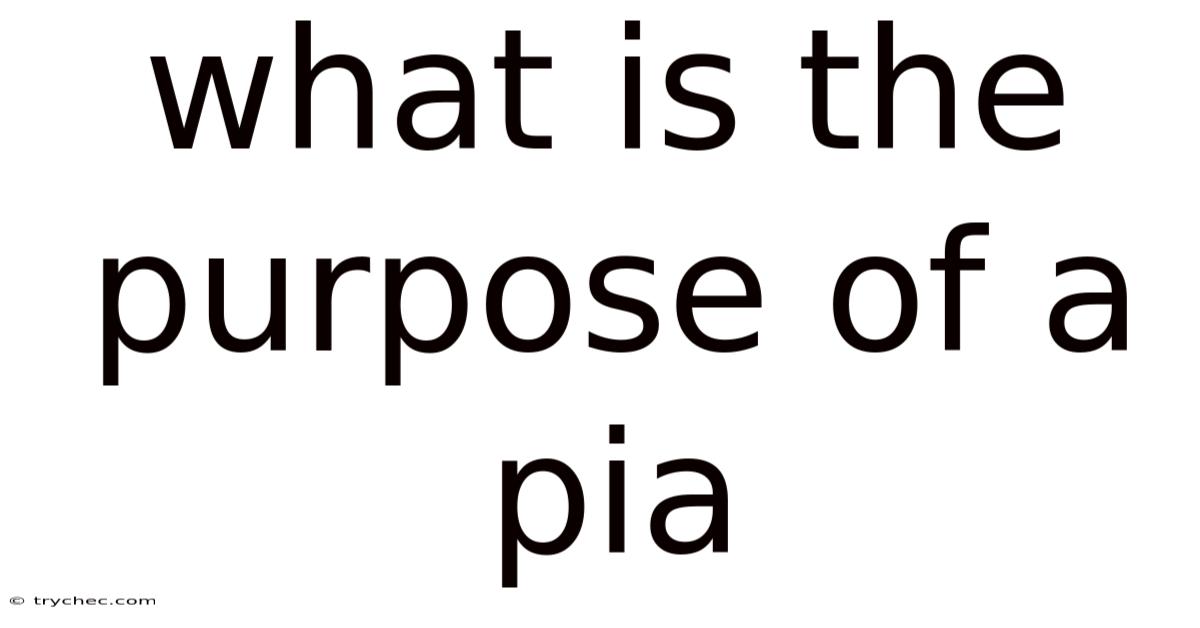 What Is The Purpose Of A Pia