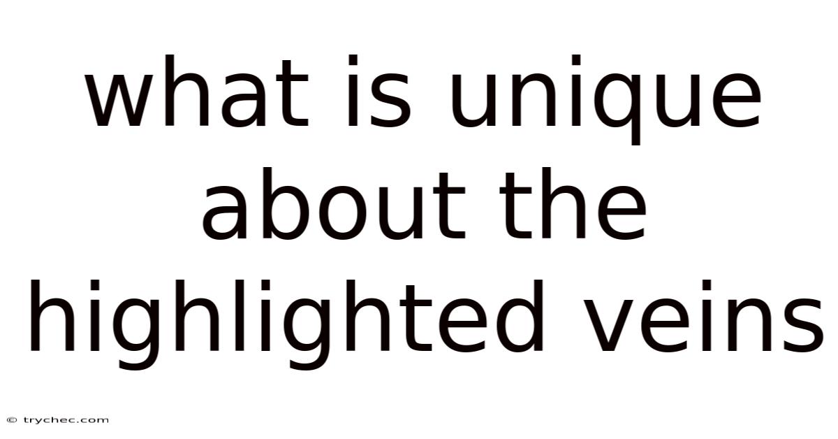 What Is Unique About The Highlighted Veins