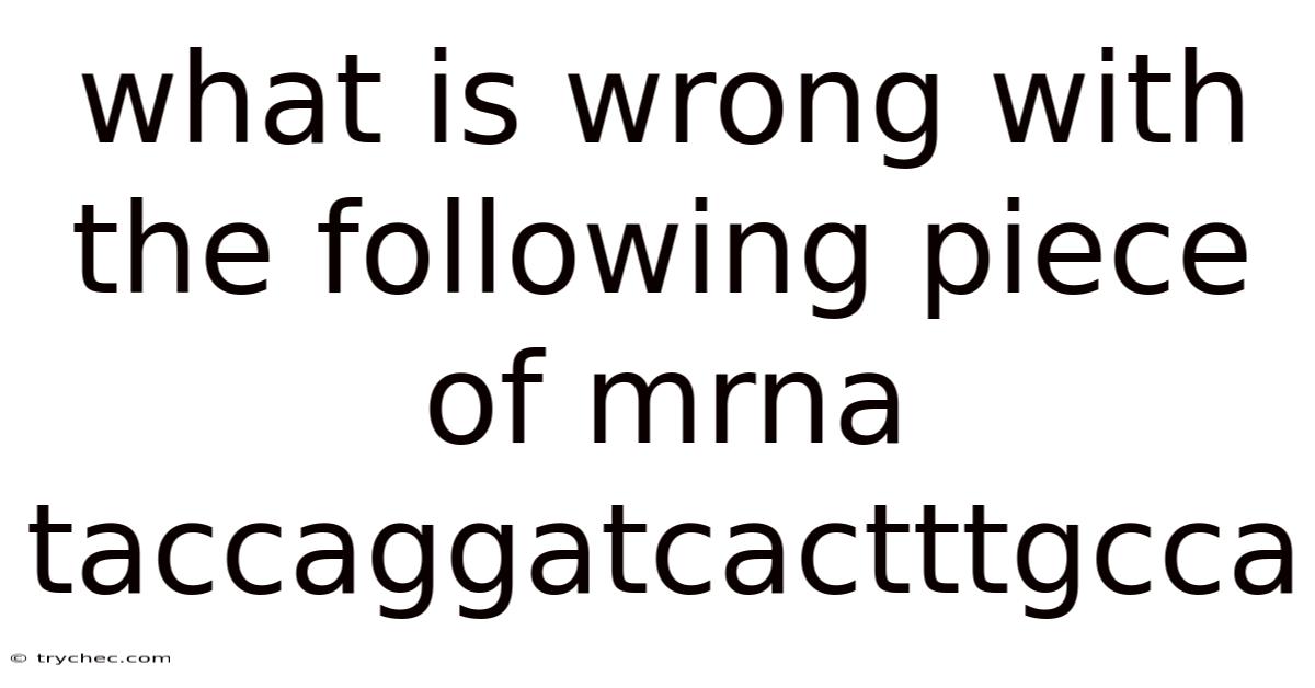 What Is Wrong With The Following Piece Of Mrna Taccaggatcactttgcca