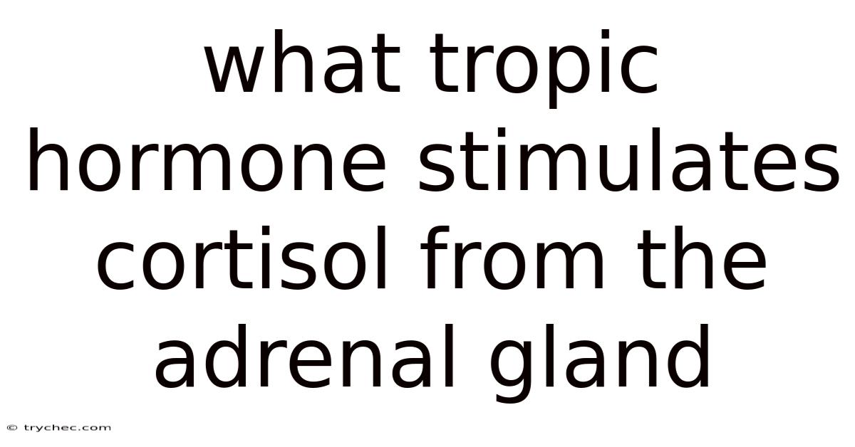 What Tropic Hormone Stimulates Cortisol From The Adrenal Gland
