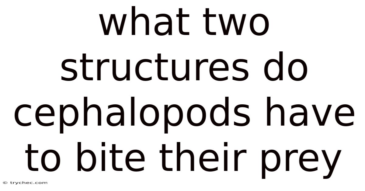 What Two Structures Do Cephalopods Have To Bite Their Prey