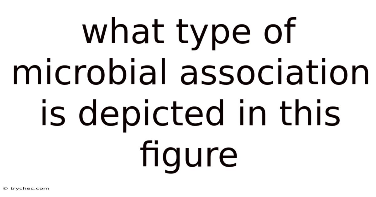 What Type Of Microbial Association Is Depicted In This Figure