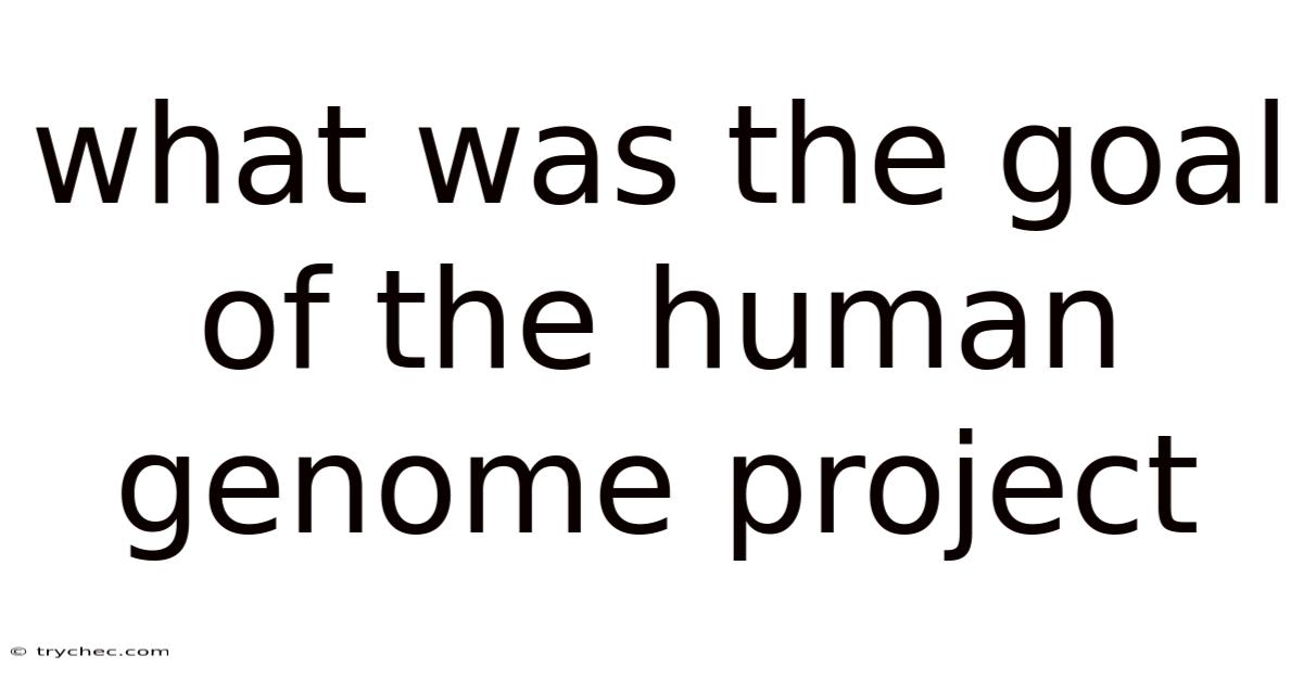 What Was The Goal Of The Human Genome Project