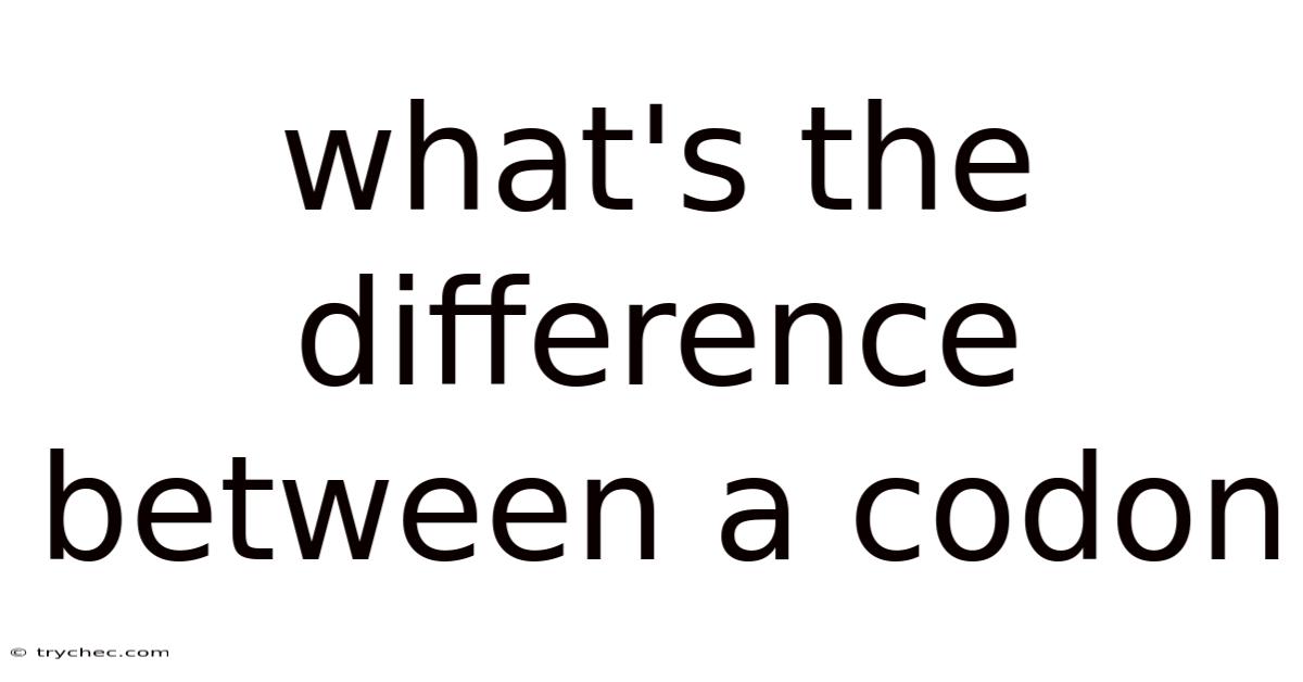 What's The Difference Between A Codon