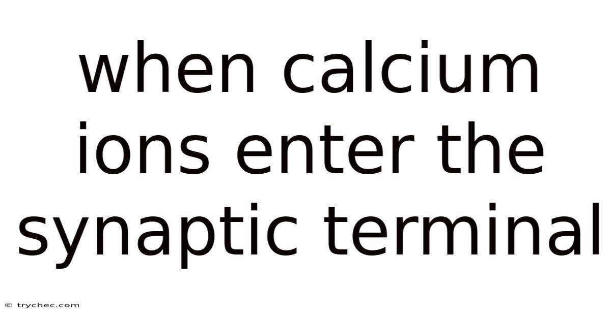 When Calcium Ions Enter The Synaptic Terminal