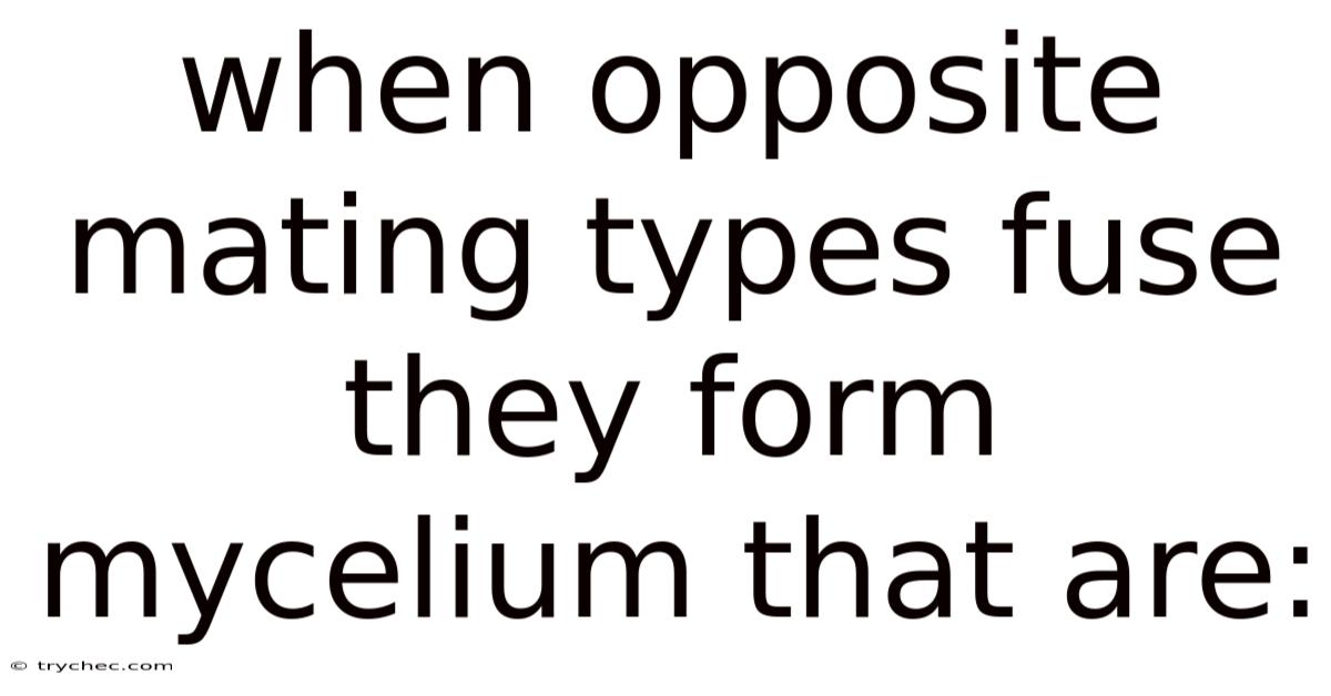 When Opposite Mating Types Fuse They Form Mycelium That Are: