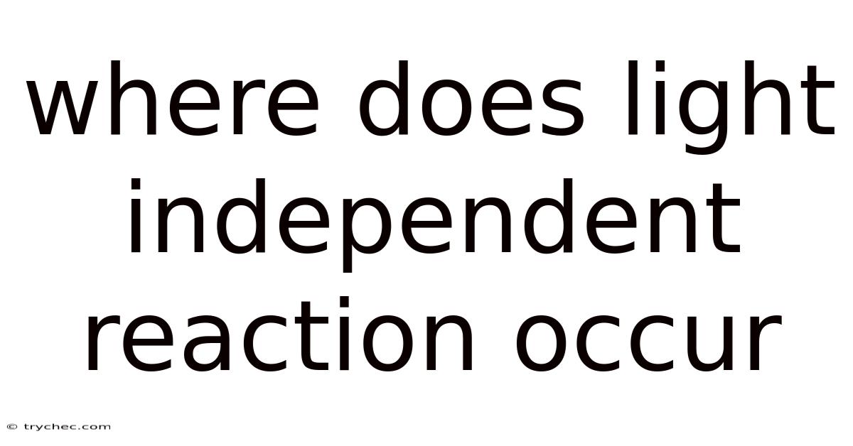 Where Does Light Independent Reaction Occur