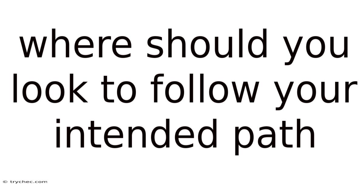 Where Should You Look To Follow Your Intended Path