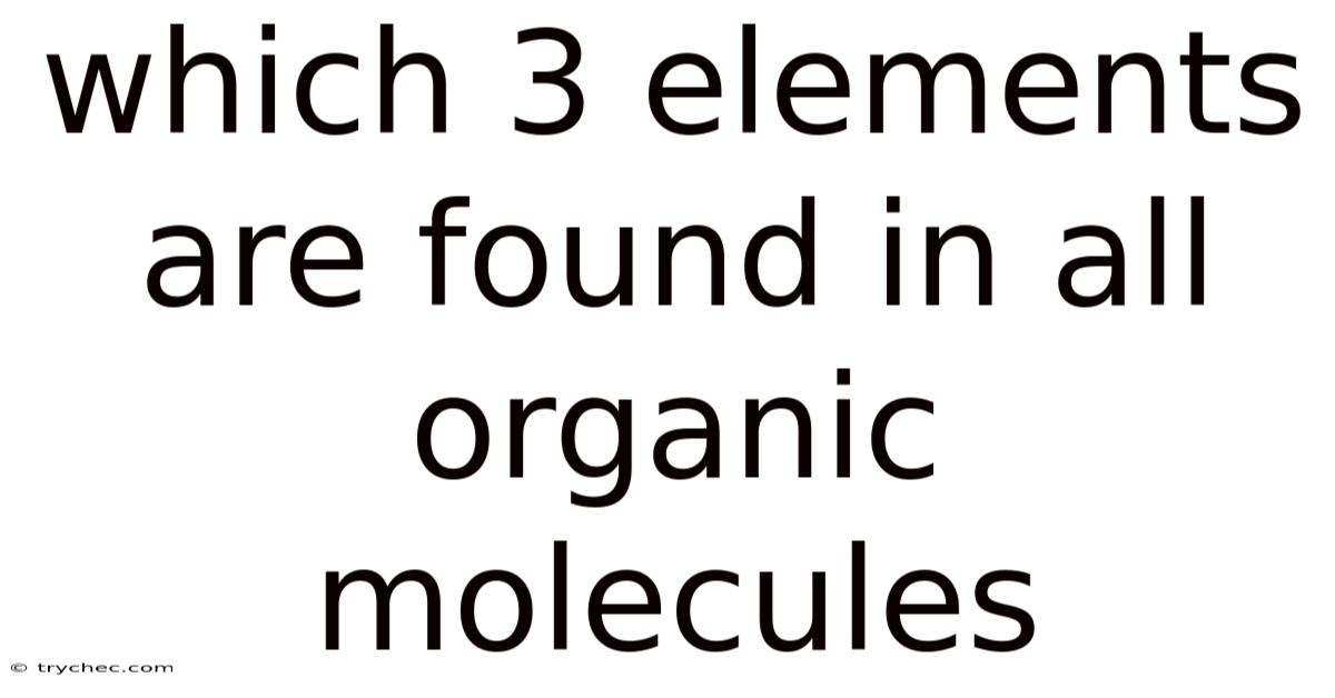 Which 3 Elements Are Found In All Organic Molecules