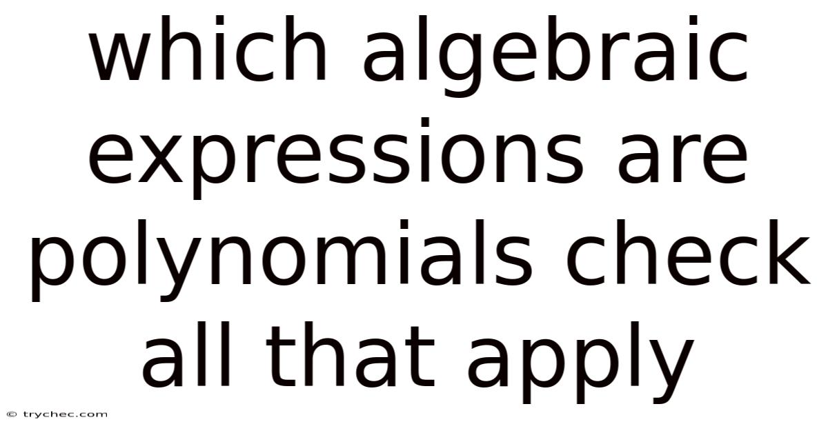Which Algebraic Expressions Are Polynomials Check All That Apply
