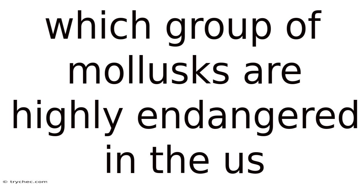 Which Group Of Mollusks Are Highly Endangered In The Us