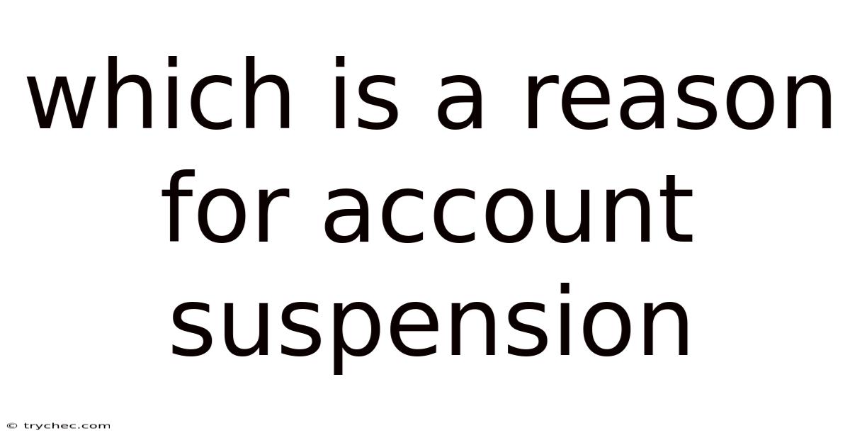 Which Is A Reason For Account Suspension
