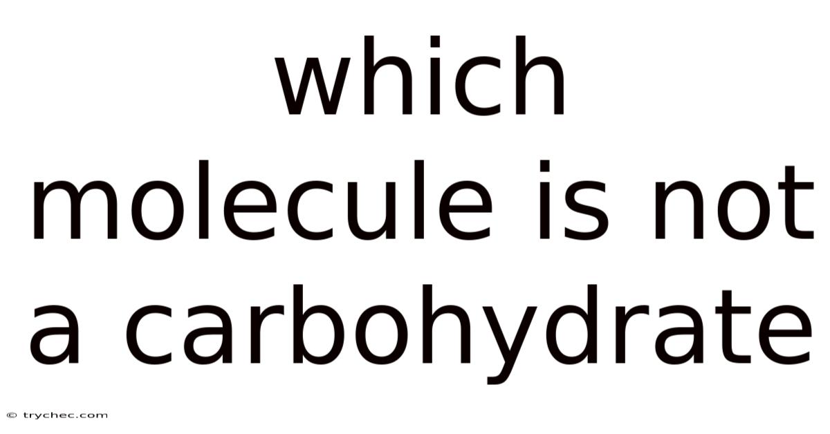 Which Molecule Is Not A Carbohydrate