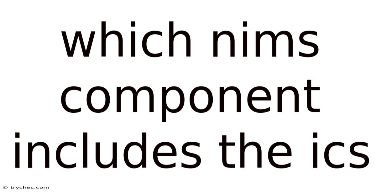 Which Nims Component Includes The Ics