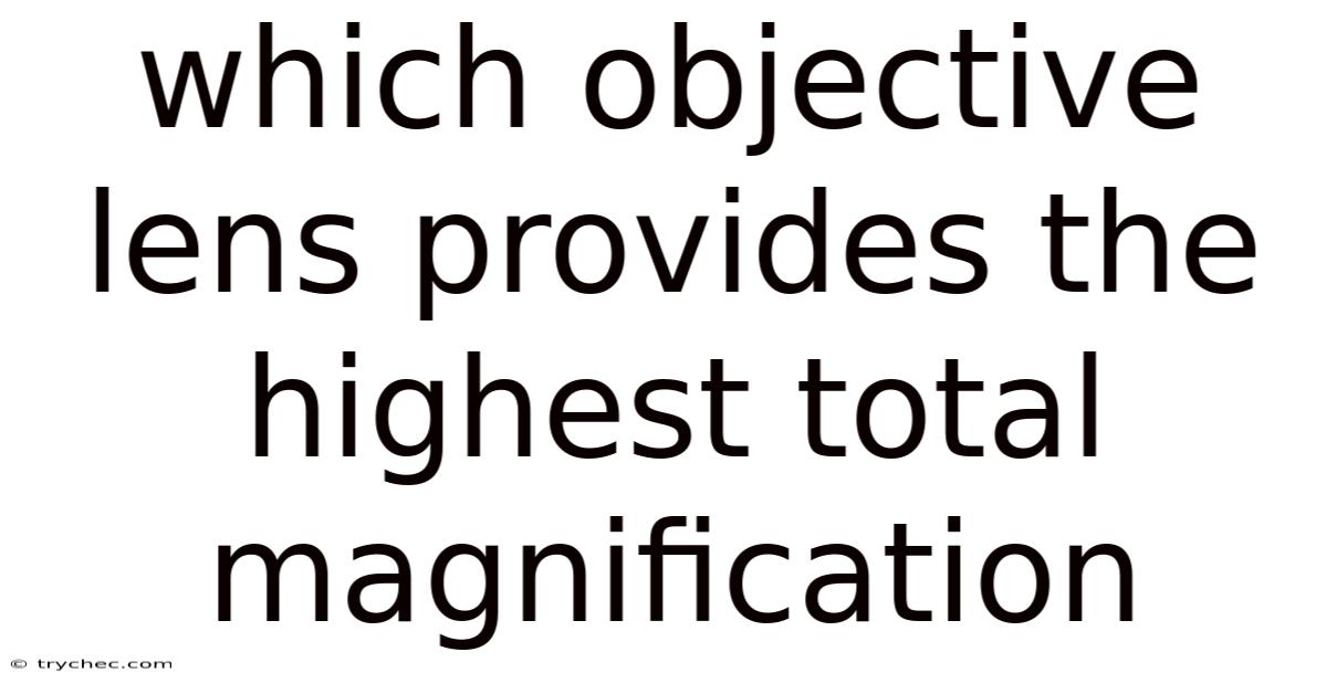 Which Objective Lens Provides The Highest Total Magnification