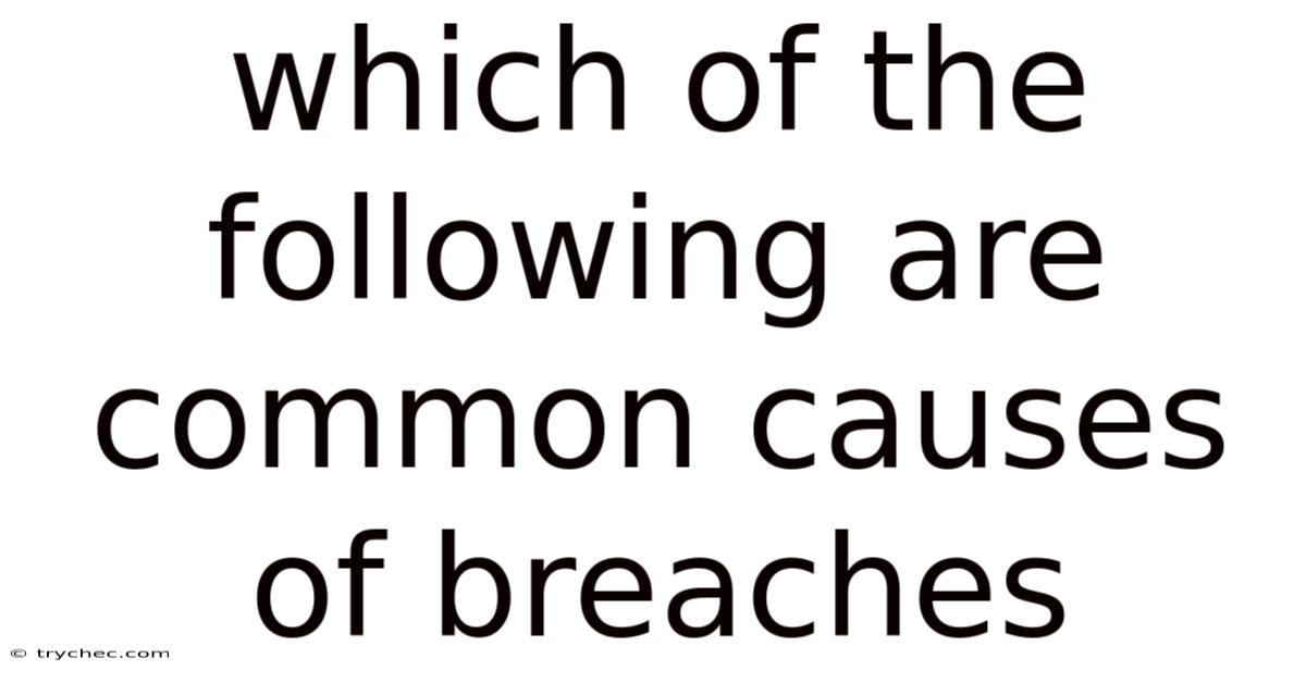 Which Of The Following Are Common Causes Of Breaches