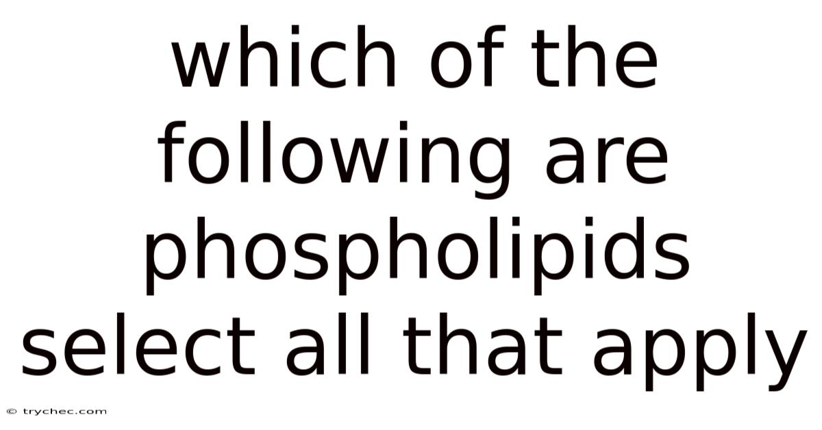 Which Of The Following Are Phospholipids Select All That Apply